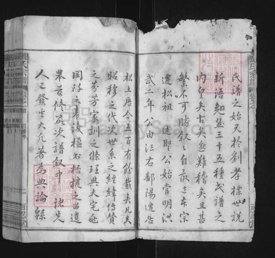 安徽省安庆市宿松县张氏百忍堂族谱-张氏宗谱.pdf电子版预览图2