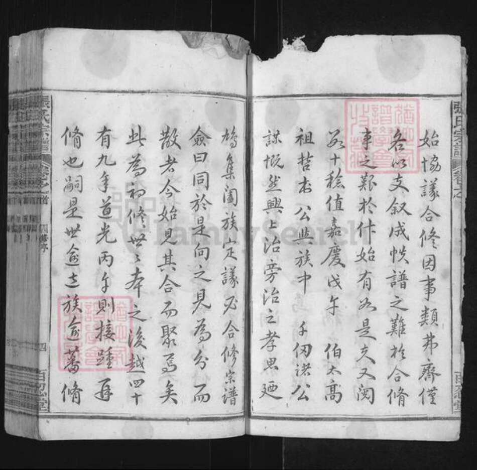 安徽省安庆市宿松县张氏百忍堂族谱-张氏宗谱.pdf电子版预览图4