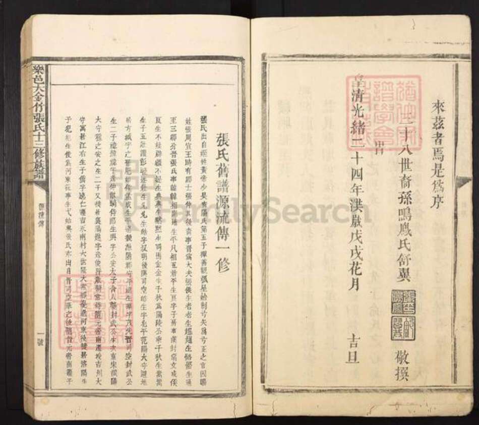 江西省抚州市乐安县金竹畬族乡张氏族谱-乐邑大金竹张氏十三修族谱.pdf电子版预览图5