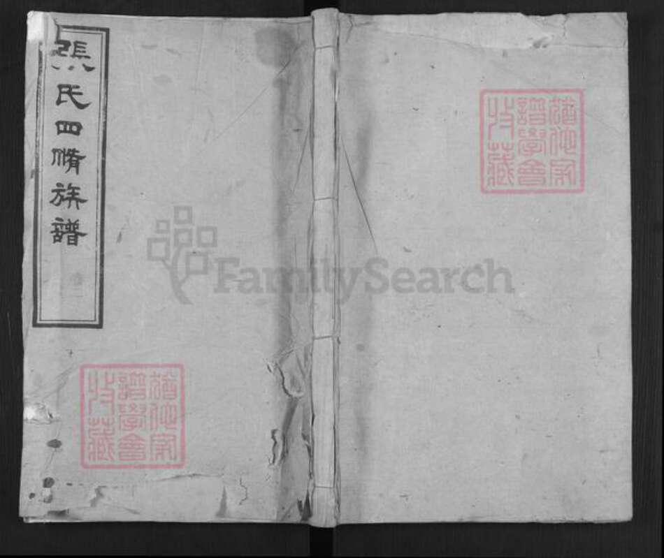 湖南省湘潭市岳塘区岳塘街道张氏族谱-张氏四修族谱.pdf电子版缩略图