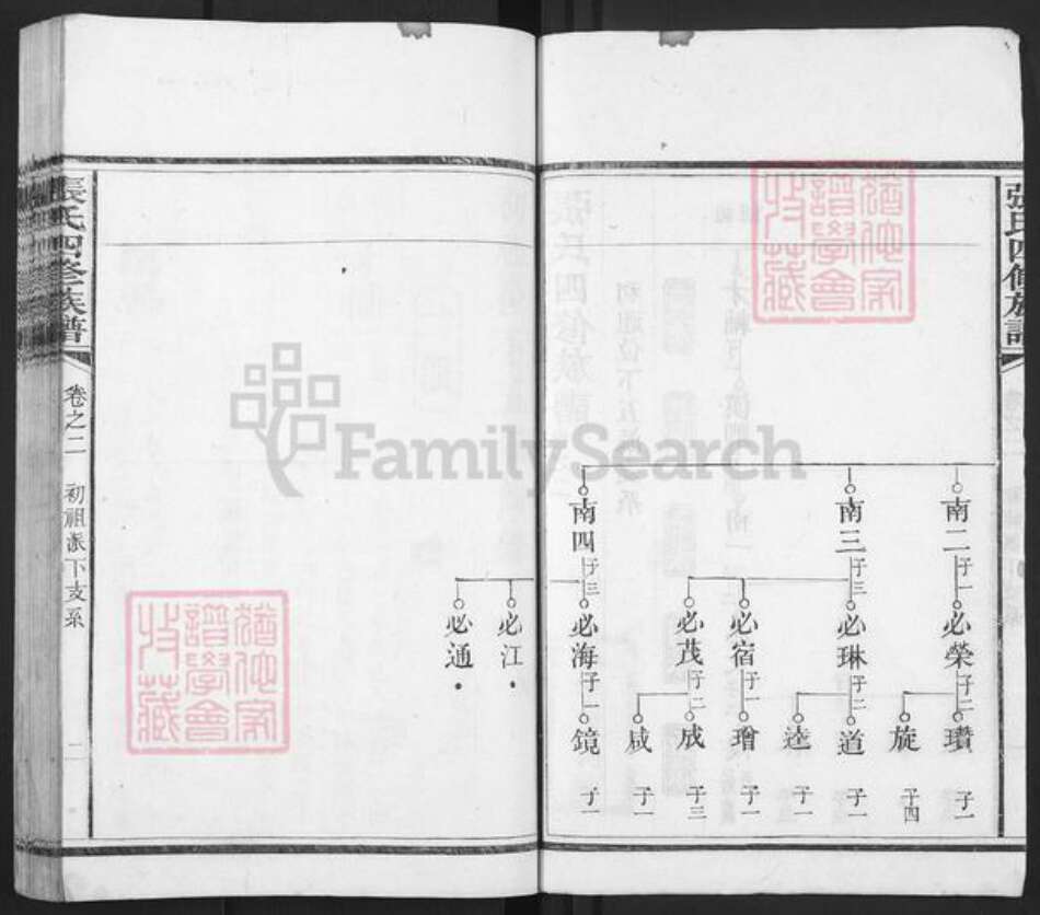 湖南省湘潭市岳塘区岳塘街道张氏族谱-张氏四修族谱.pdf电子版预览图2