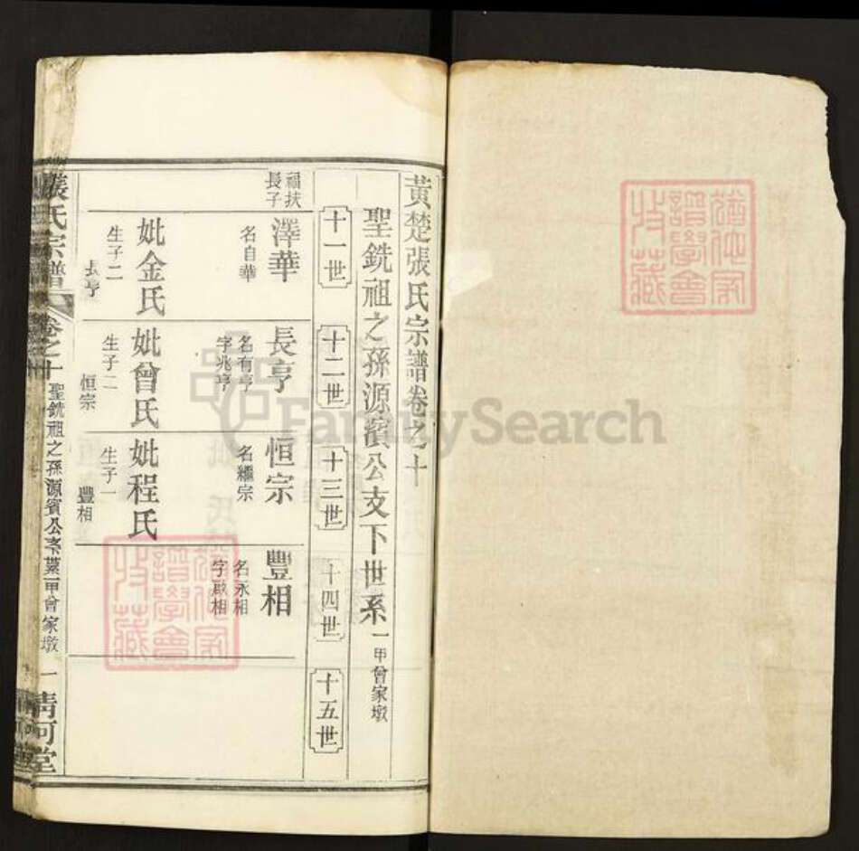 湖北省黄冈市张氏清河堂族谱-张氏宗谱.pdf电子版预览图1