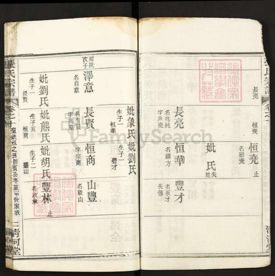 湖北省黄冈市张氏清河堂族谱-张氏宗谱.pdf电子版预览图2