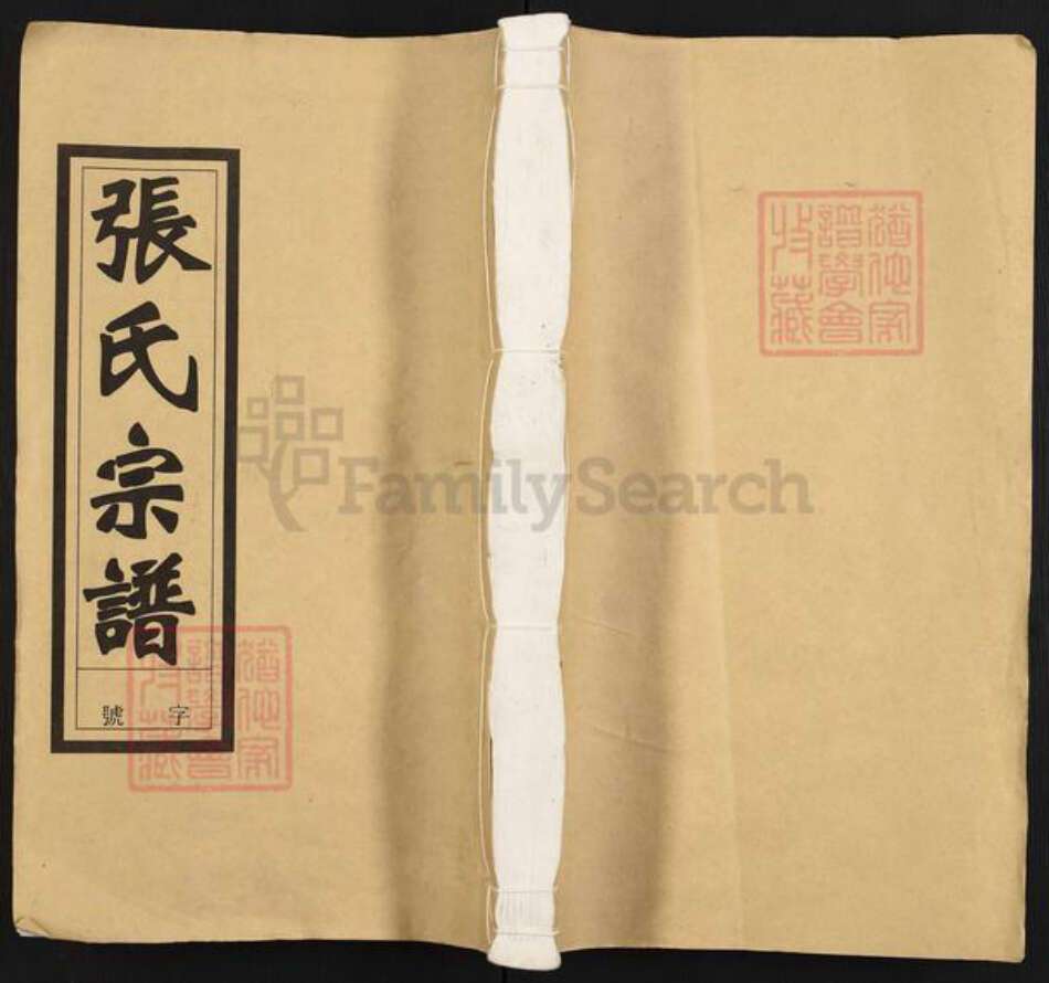 安徽省安庆市怀宁县张氏三治堂族谱-张氏宗谱.pdf电子版缩略图