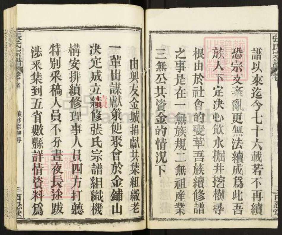 湖北省黄石市阳新县王英镇张氏百忍堂族谱-张氏宗谱.pdf电子版预览图3