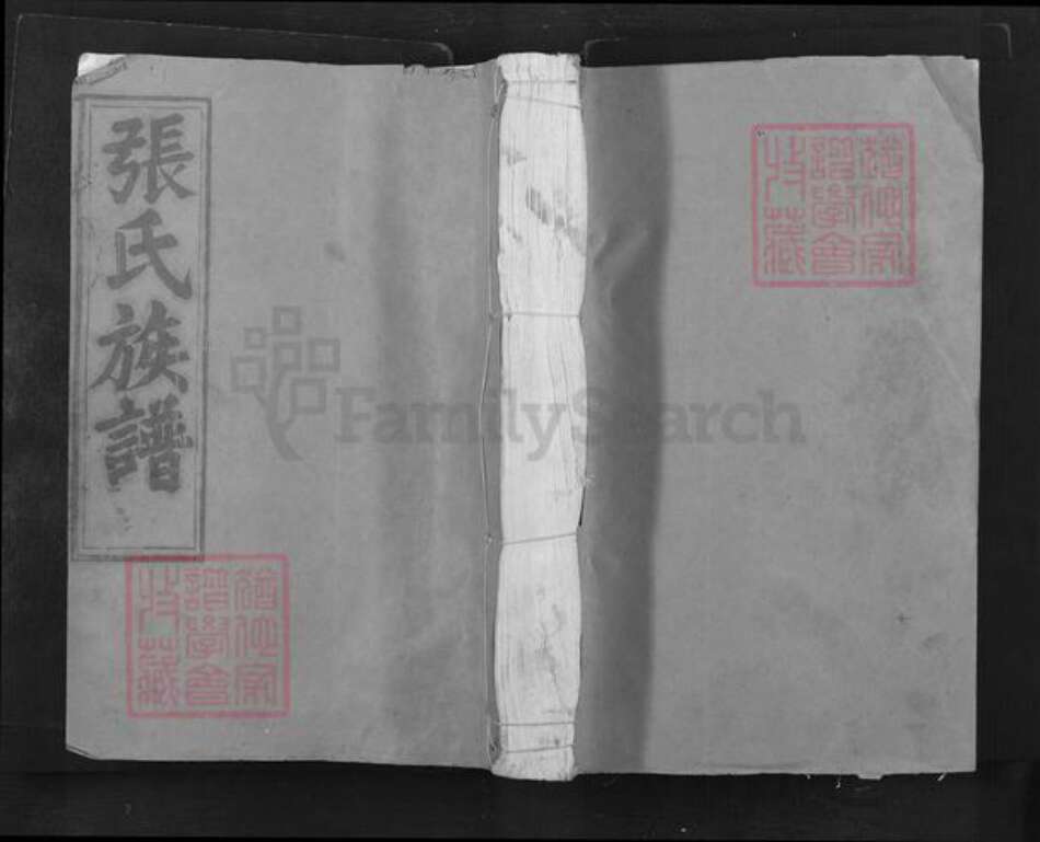 湖北省张氏孝友堂族谱-张氏十二修族谱.pdf电子版缩略图