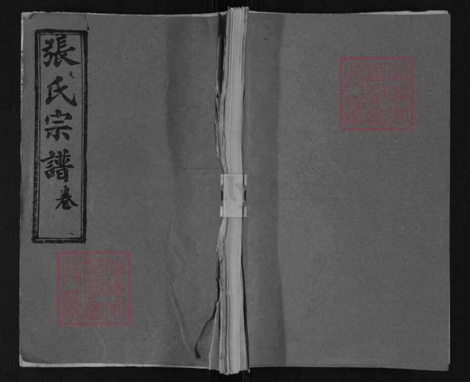 湖北省黄冈市英山县张氏百忍堂族谱-张氏宗谱.pdf电子版缩略图