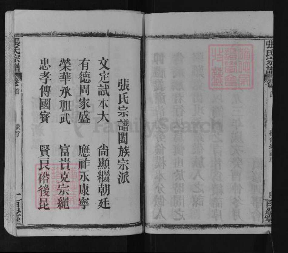 湖北省黄冈市英山县张氏百忍堂族谱-张氏宗谱.pdf电子版预览图5