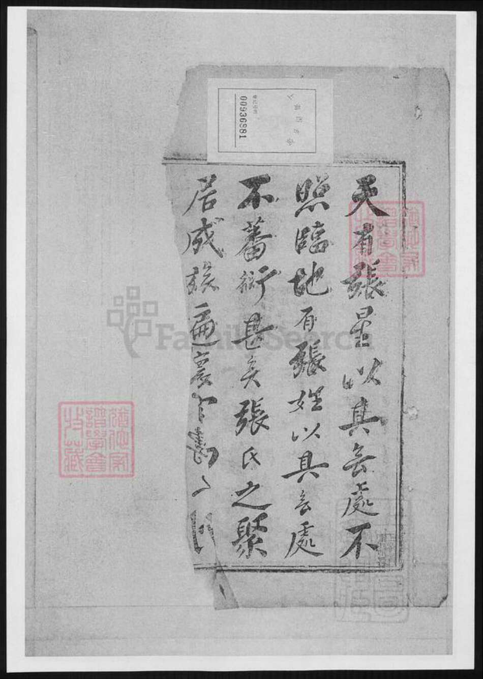 河北省邢台张氏孝友堂族谱-清河张氏宗谱.pdf电子版预览图3