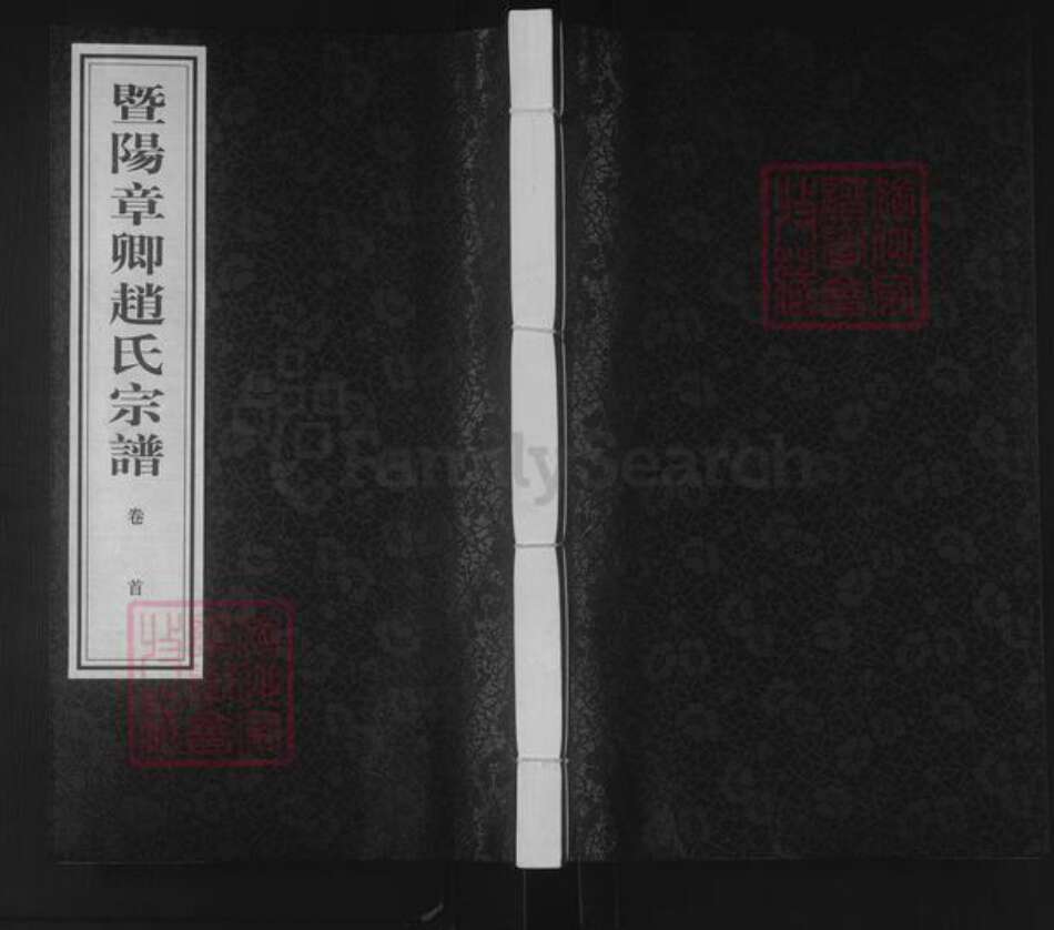 江苏省苏州市张家港市杨舍镇赵氏族谱-暨阳章卿赵氏宗谱.pdf电子版缩略图