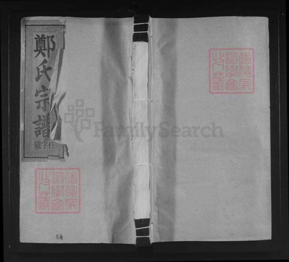 江西省上饶市上饶县尊桥乡郑氏族谱-碧湖郑氏宗谱.pdf电子版缩略图