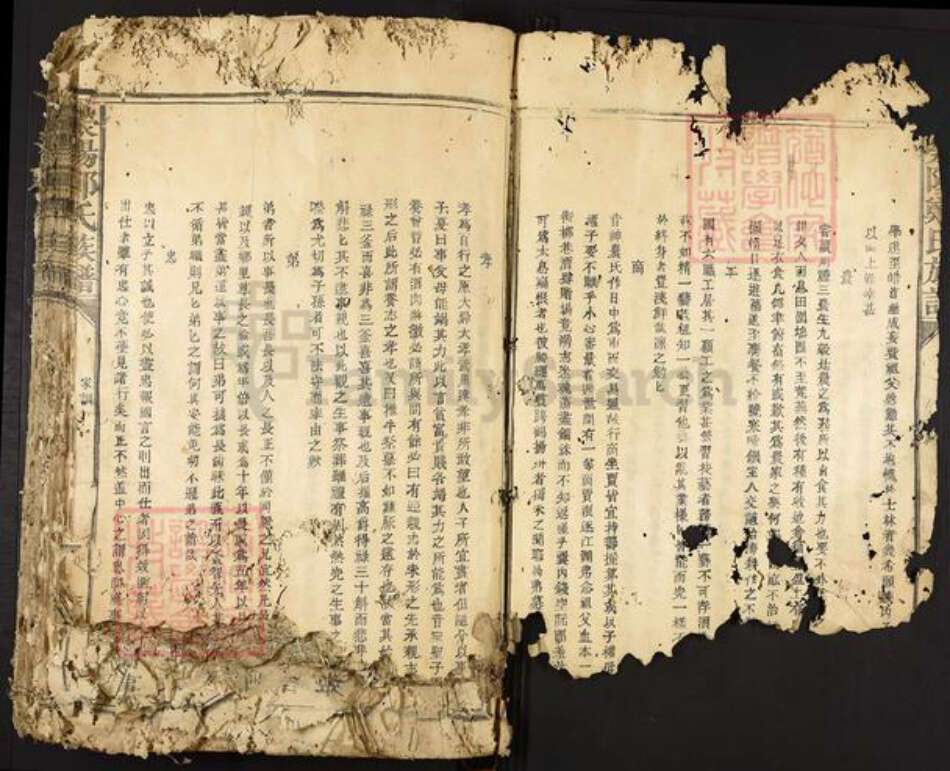 福建省龙岩市永定区合溪乡郑氏族谱-荥阳郑氏族谱.pdf电子版预览图3