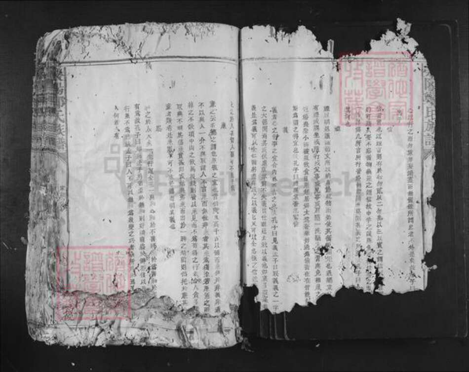 福建省龙岩市长汀县郑氏族谱-荥阳郑氏族谱.pdf电子版预览图4