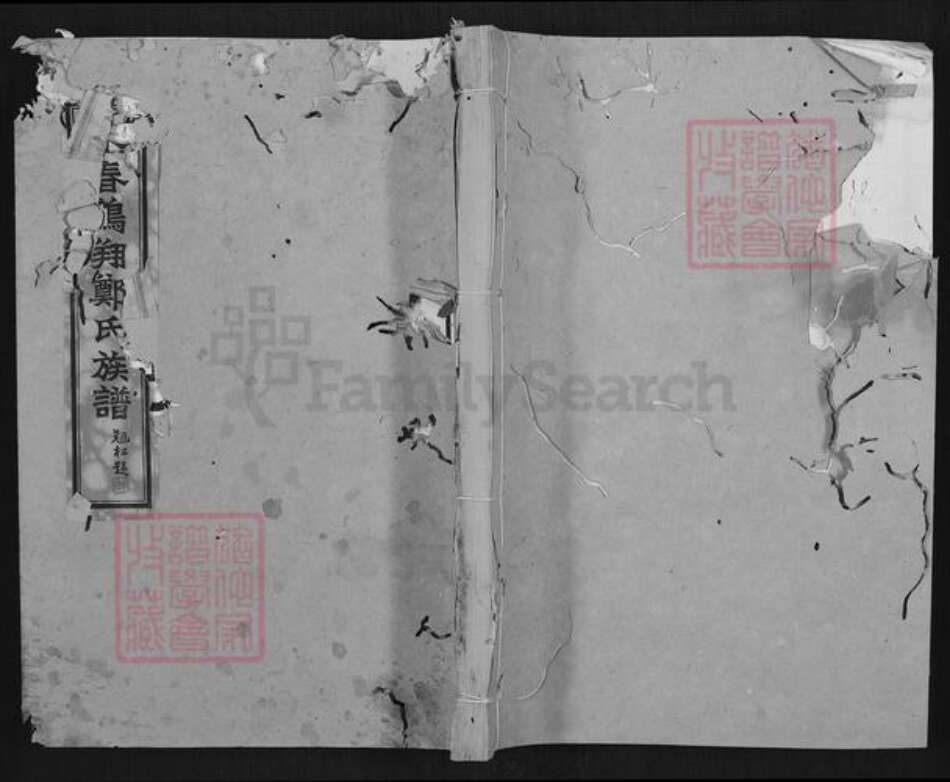 福建省泉州市永春县桃城镇郑氏族谱-永春鹏翔郑氏族谱.pdf电子版缩略图