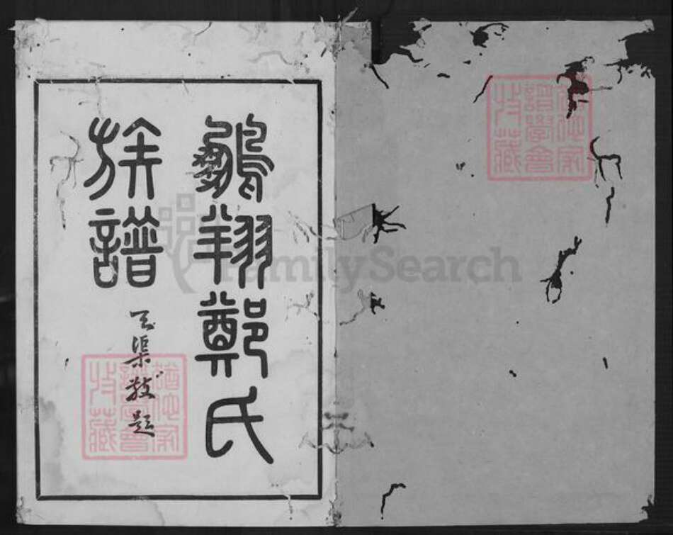 福建省泉州市永春县桃城镇郑氏族谱-永春鹏翔郑氏族谱.pdf电子版预览图1