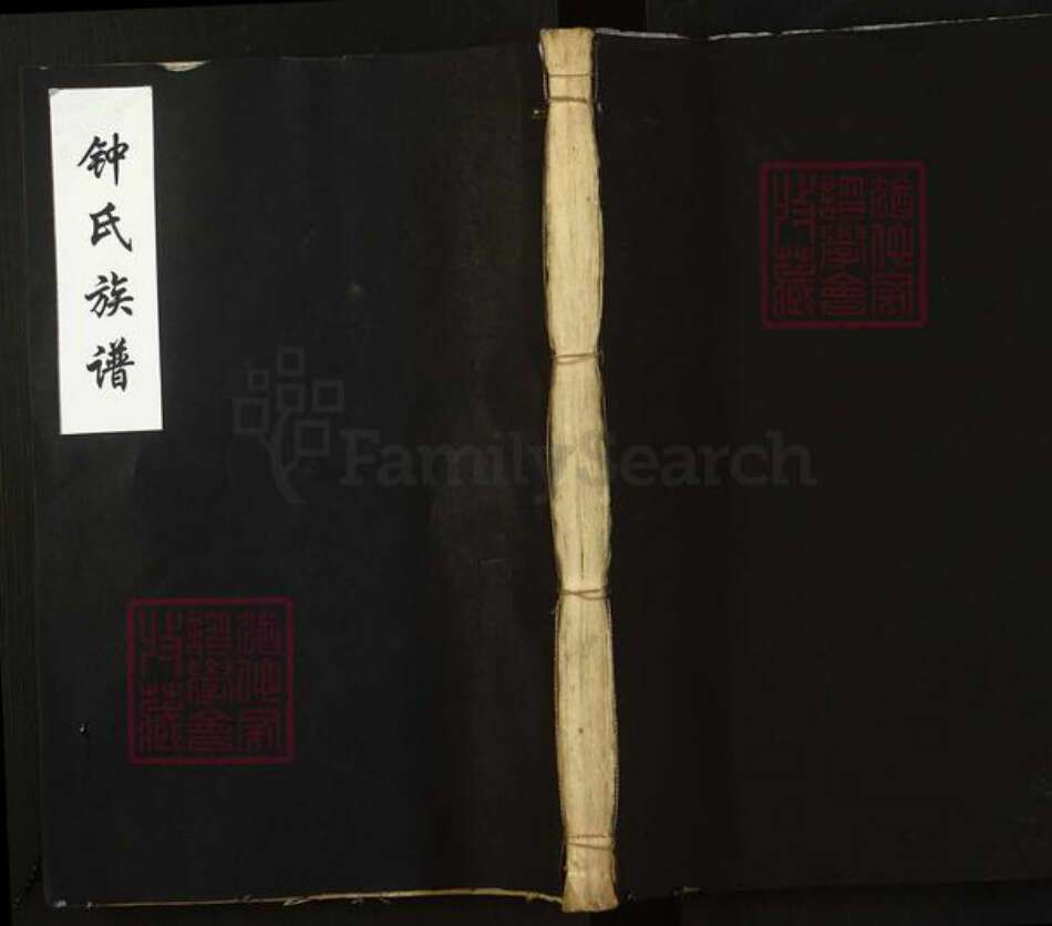 湖南省岳阳市平江县钟氏师德堂族谱-钟氏族谱.pdf电子版缩略图