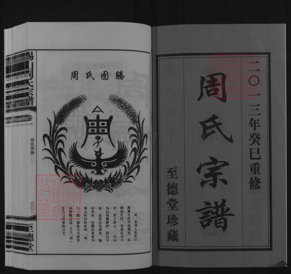 江苏省无锡市惠山区长安街道周氏至德堂族谱-锡山周氏宗谱.pdf电子版预览图2