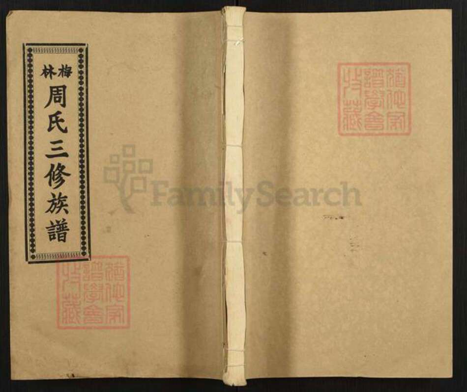 湖南省娄底市涟源市杨市镇周氏存着堂族谱-林梅周氏三修族谱.pdf电子版缩略图