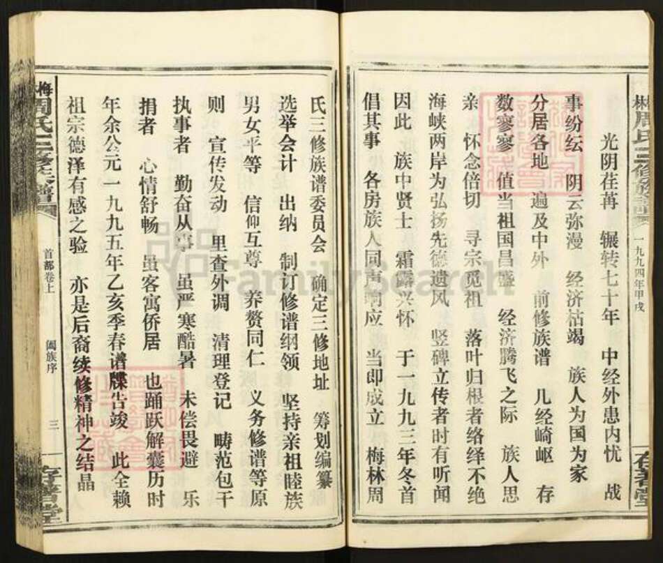 湖南省娄底市涟源市杨市镇周氏存着堂族谱-林梅周氏三修族谱.pdf电子版预览图4