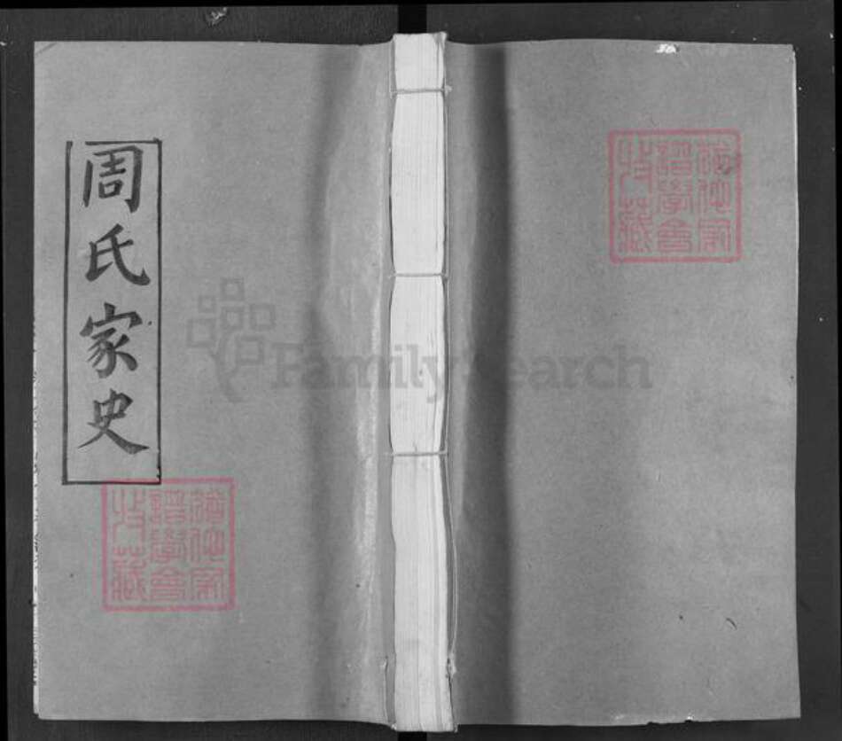 湖北省武汉市新洲区周氏用里堂族谱-周氏家史.pdf电子版缩略图