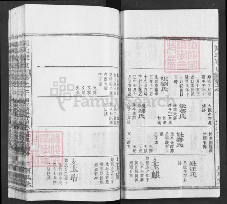 湖北省武汉市新洲区周氏用里堂族谱-周氏家史.pdf电子版预览图2