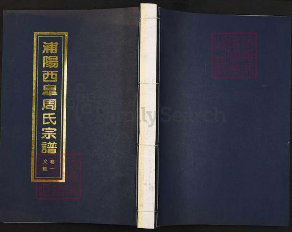 浙江省杭州市萧山区萧山周氏族谱-浦阳西皋周氏宗谱.pdf电子版缩略图