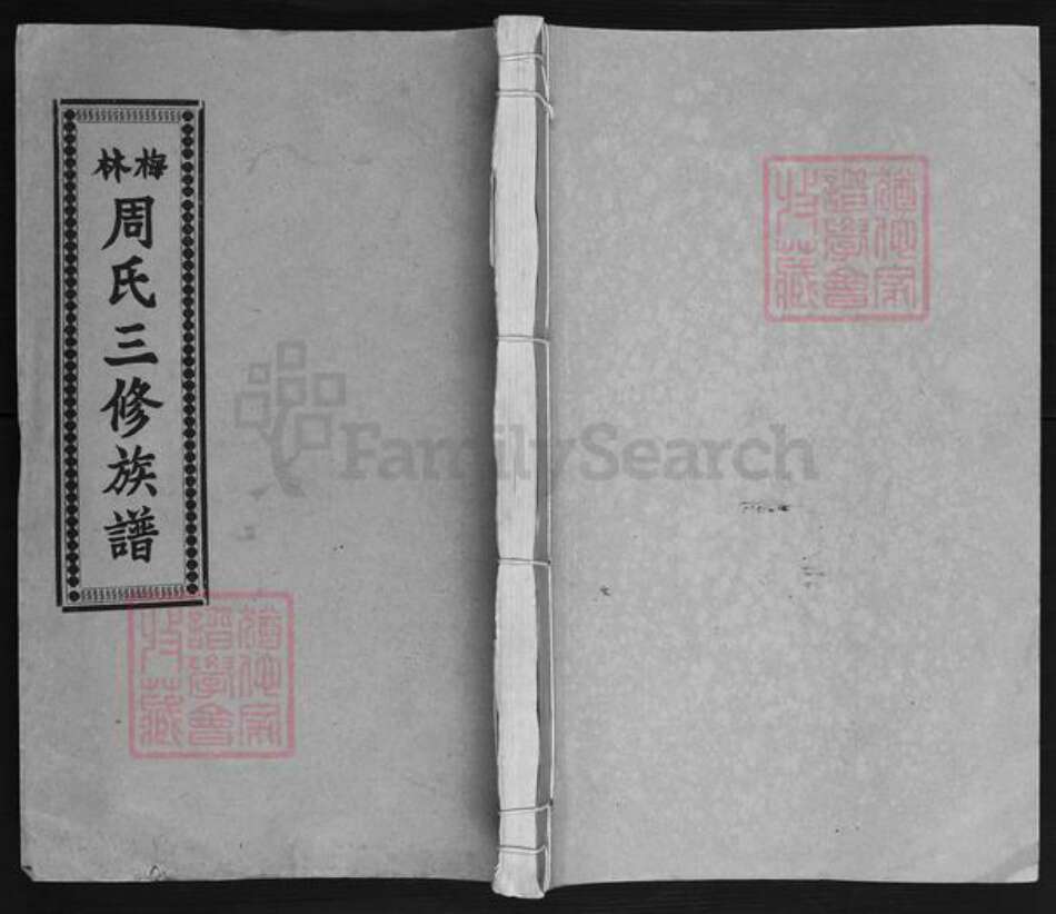 湖南省湘潭市湘乡市潭市镇周氏存着堂族谱-梅林周氏三修族谱.pdf电子版缩略图