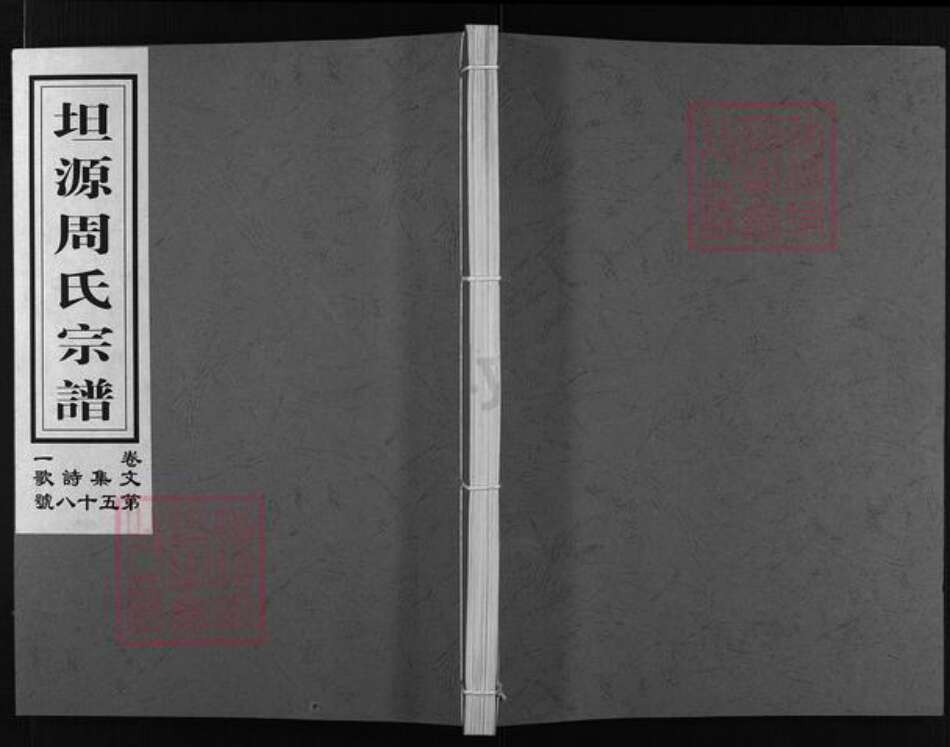 浙江省周氏族谱-坦源周氏宗谱 [16卷].pdf电子版缩略图