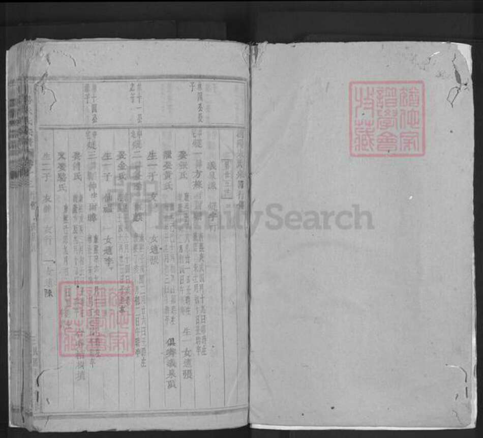 浙江省金华市浦江县朱氏族谱-浦阳朱氏宗谱.pdf电子版预览图1