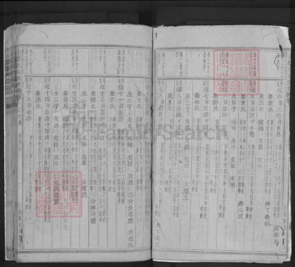 浙江省金华市浦江县朱氏族谱-浦阳朱氏宗谱.pdf电子版预览图2