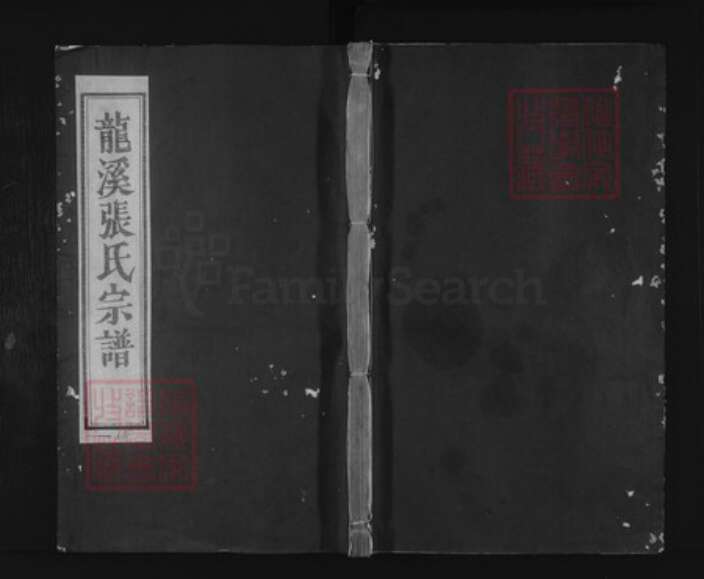 浙江省金华市浦江县张氏族谱-龙溪张氏八甲宗谱.pdf电子版缩略图