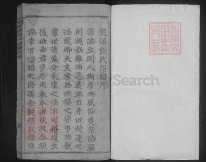 浙江省金华市浦江县张氏族谱-龙溪张氏八甲宗谱.pdf电子版预览图1