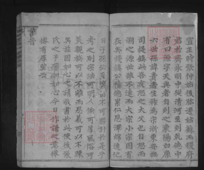 浙江省金华市浦江县张氏族谱-龙溪张氏八甲宗谱.pdf电子版预览图2