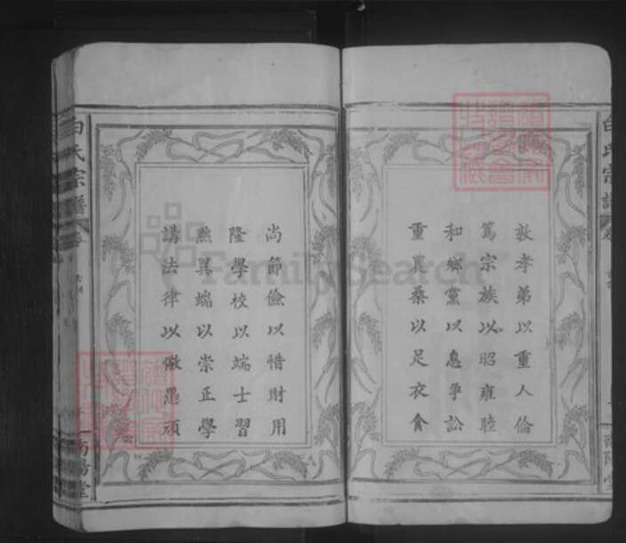 湖北省黄石市大冶市金牛镇白氏南阳堂族谱-白氏宗谱.pdf电子版预览图2