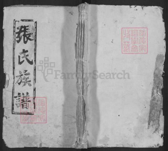 安徽省安庆市宿松县张氏怀德堂族谱-张氏族谱.pdf电子版缩略图