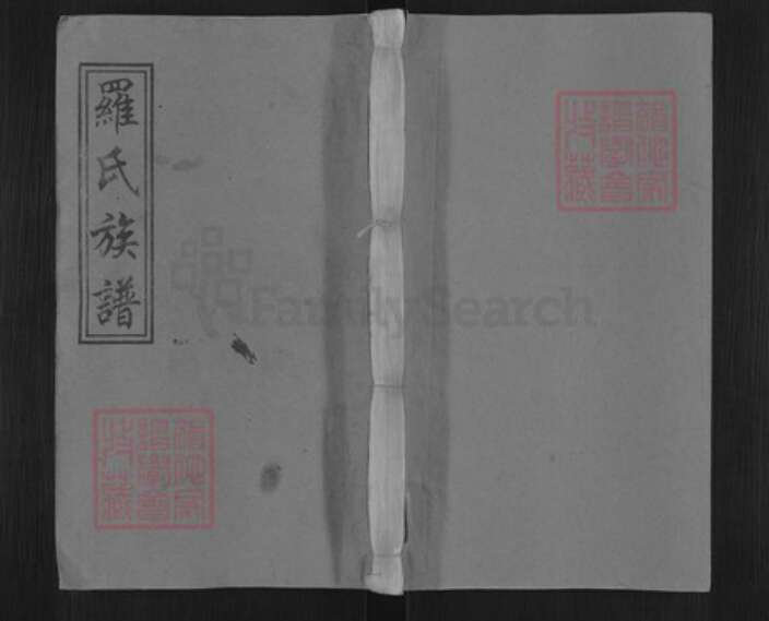 江西省宜春市万载县株潭镇罗氏豫章堂族谱-袁州罗宗庆祠五修族谱.pdf电子版缩略图