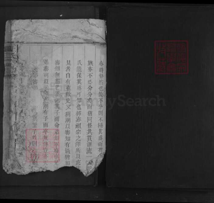 江西省上饶市王氏族谱-王氏宗谱.pdf电子版预览图1