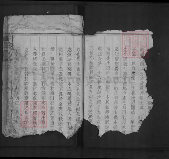 江西省上饶市王氏族谱-王氏宗谱.pdf电子版预览图4