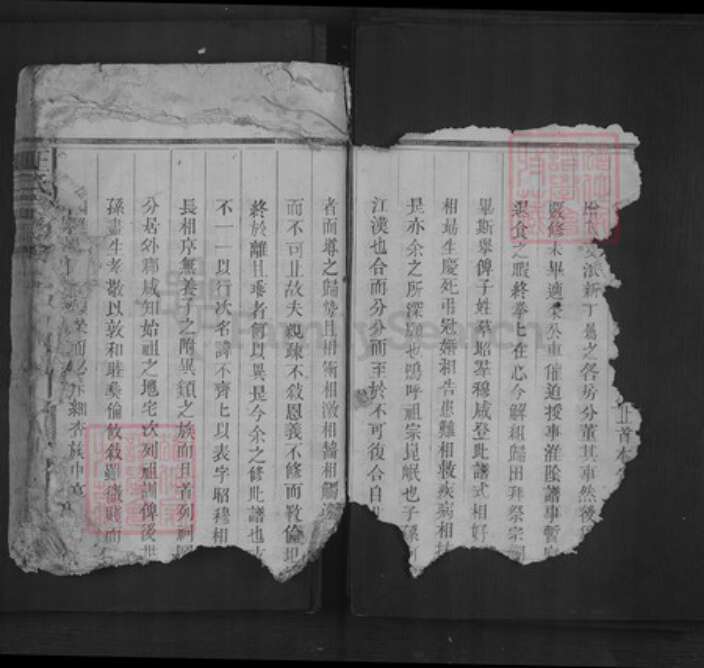 江西省上饶市王氏族谱-王氏宗谱.pdf电子版预览图5