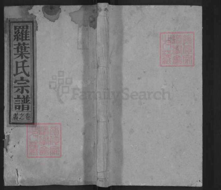 安徽省安庆市宿松县罗氏宝文堂族谱-罗叶氏宗谱.pdf电子版缩略图