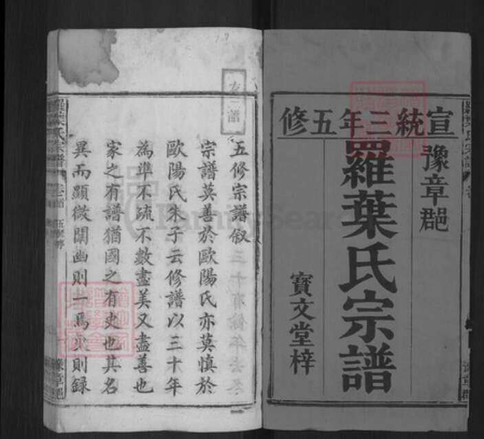安徽省安庆市宿松县罗氏宝文堂族谱-罗叶氏宗谱.pdf电子版预览图1