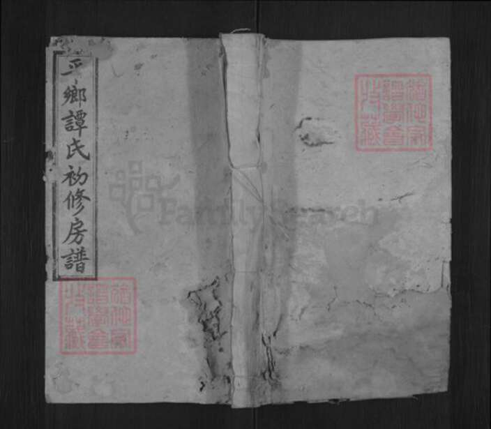 湖南省邵阳市新宁县谭氏敦本堂族谱-邵阳平乡谭氏四修族谱.pdf电子版缩略图