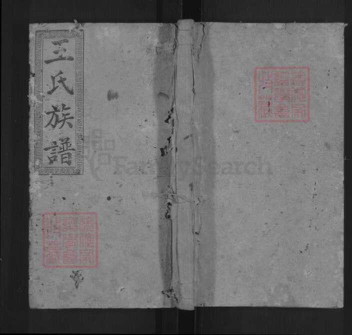 湖南省邵阳市邵东王氏三槐堂族谱-邵阳槎江王氏三修族谱.pdf电子版缩略图