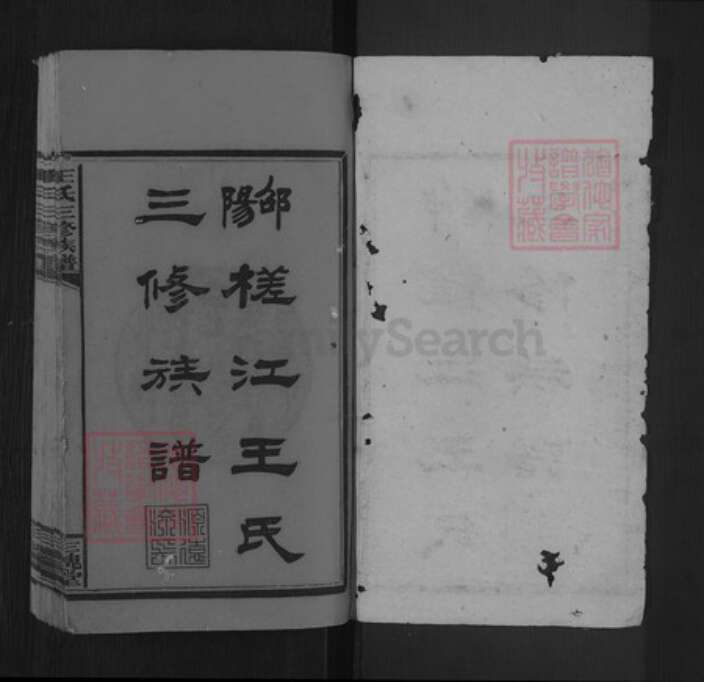 湖南省邵阳市邵东王氏三槐堂族谱-邵阳槎江王氏三修族谱.pdf电子版预览图1