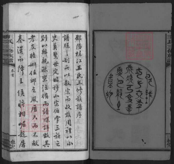 湖南省邵阳市邵东王氏三槐堂族谱-邵阳槎江王氏三修族谱.pdf电子版预览图2