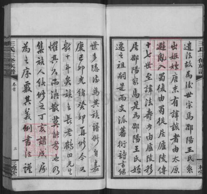 湖南省邵阳市邵东王氏三槐堂族谱-邵阳槎江王氏三修族谱.pdf电子版预览图4