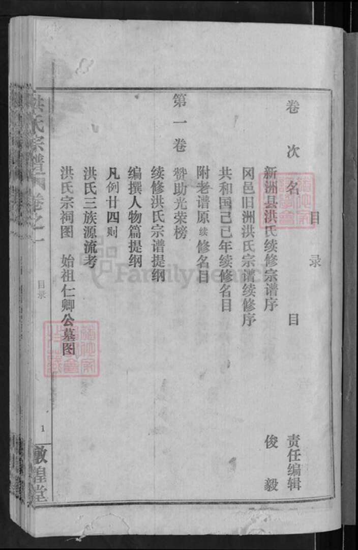 湖北省武汉市新洲区洪氏敦煌堂族谱-洪氏宗谱.pdf电子版预览图2