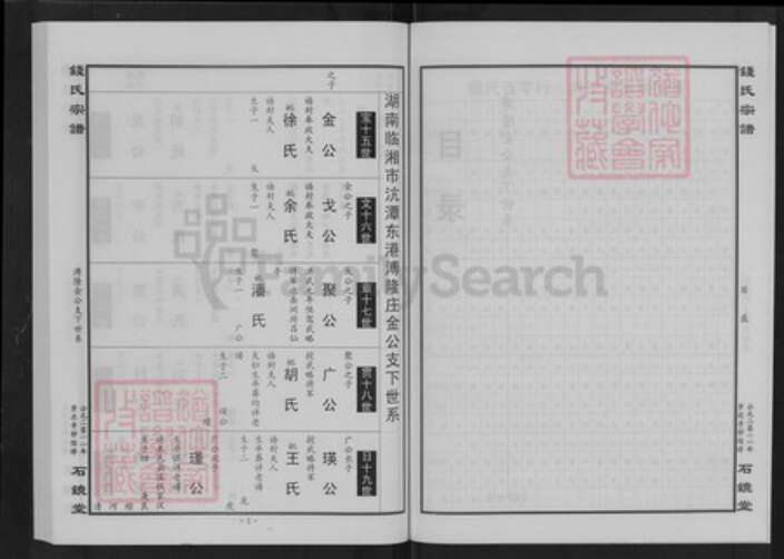 湖北省咸宁市钱氏石镜堂族谱-钱氏宗谱.pdf电子版预览图3