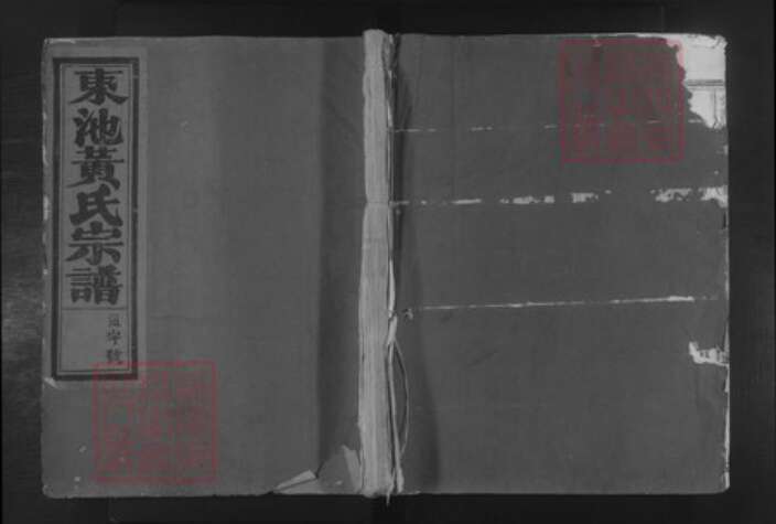 浙江省金华市金东区塘雅镇黄氏着存堂族谱-金华东池黄氏宗谱.pdf电子版缩略图