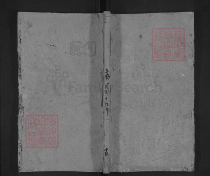 湖南省邵阳市洞口县杨林镇李氏陇西堂族谱-李氏三修族谱.pdf电子版缩略图